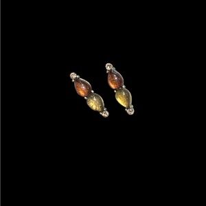 Elegant Gold and Brown Teardrop Earrings
